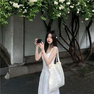 战地情莺